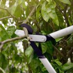 Makaze za grane Fiskars PowerGear X LX94