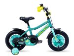Galaxy Ghost 12″ tirkiz