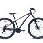 Bicikl GALAXY ZENITH 29″/21 siva/crna/crvena MAT
